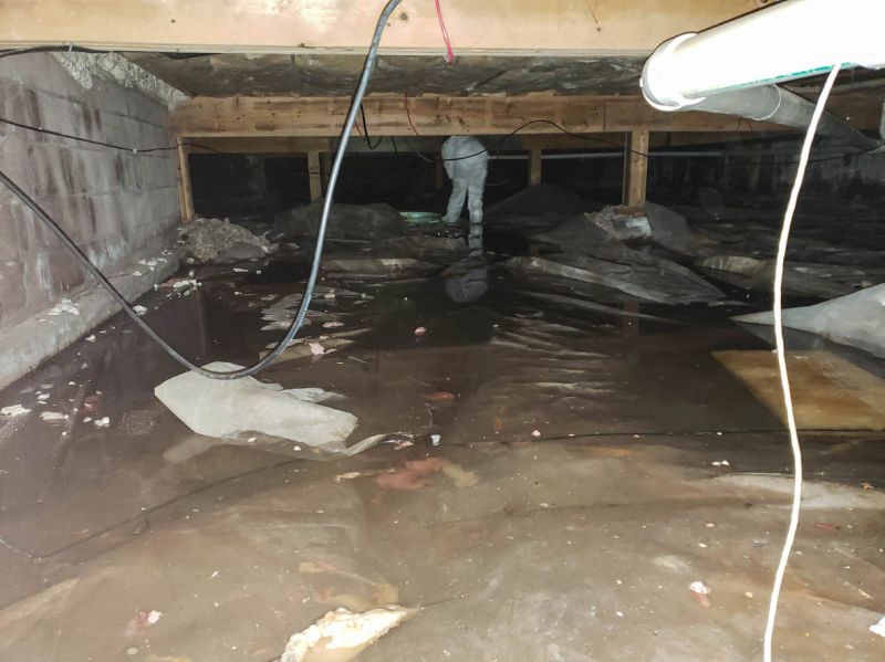 Sealed Crawlspace Entry